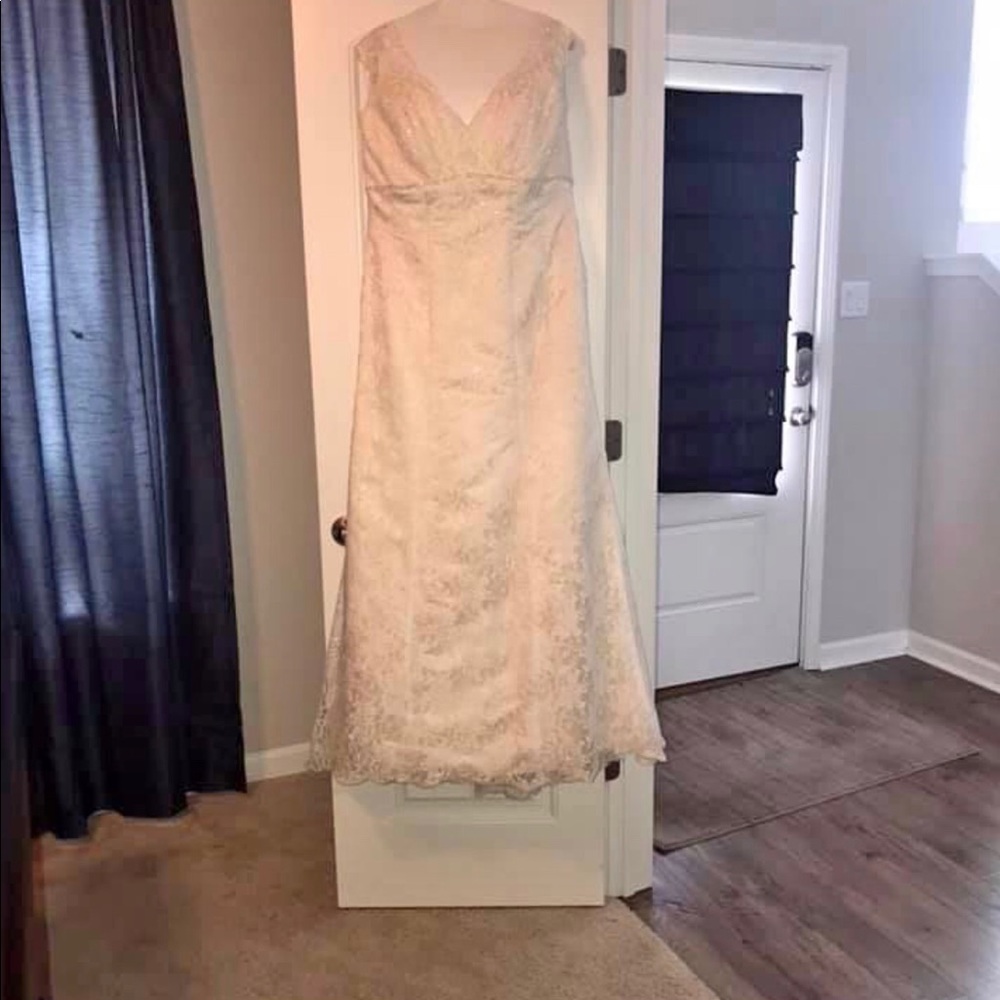 Size 16 W David’s Bridal wedding gown and slip